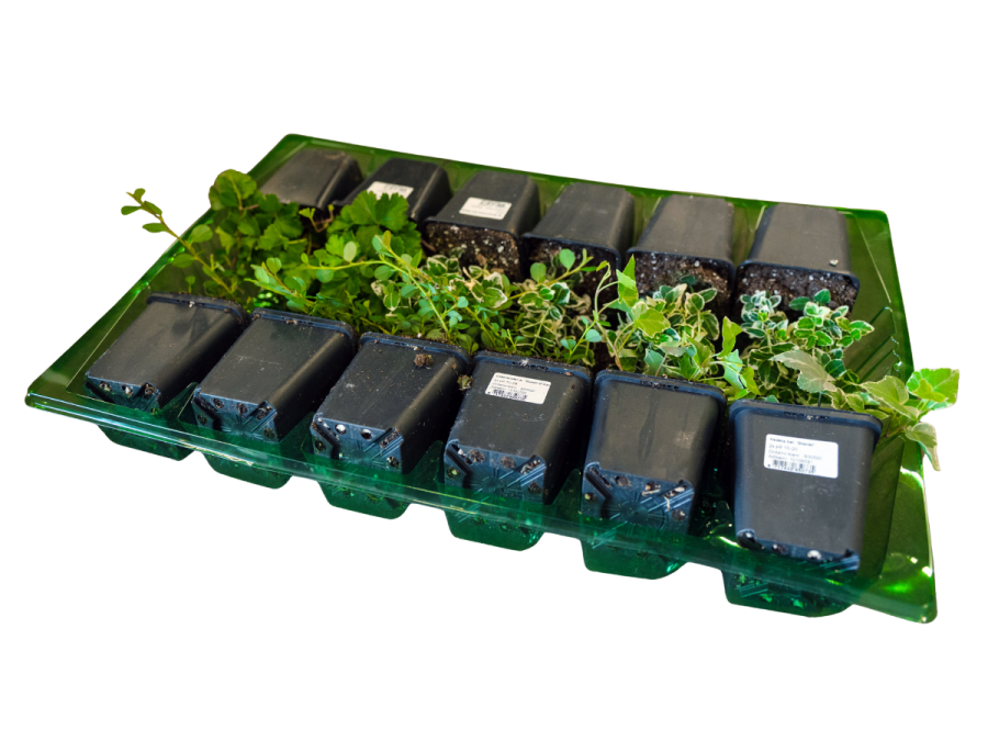 <b>Sichere</b> und schnelle Lieferung in ganz Österreich